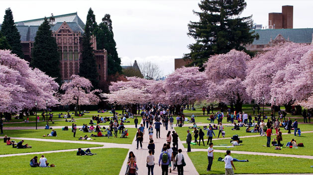 University of Washington